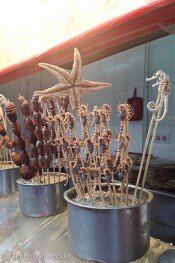 Can you eat insects? – Wang Fu Jing Snack Street has it all